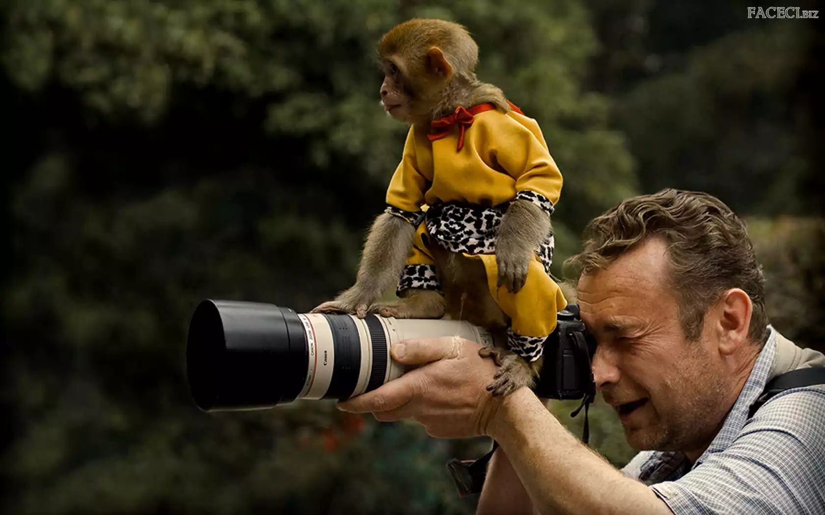 Małpa, Mężczyzna, Aparat