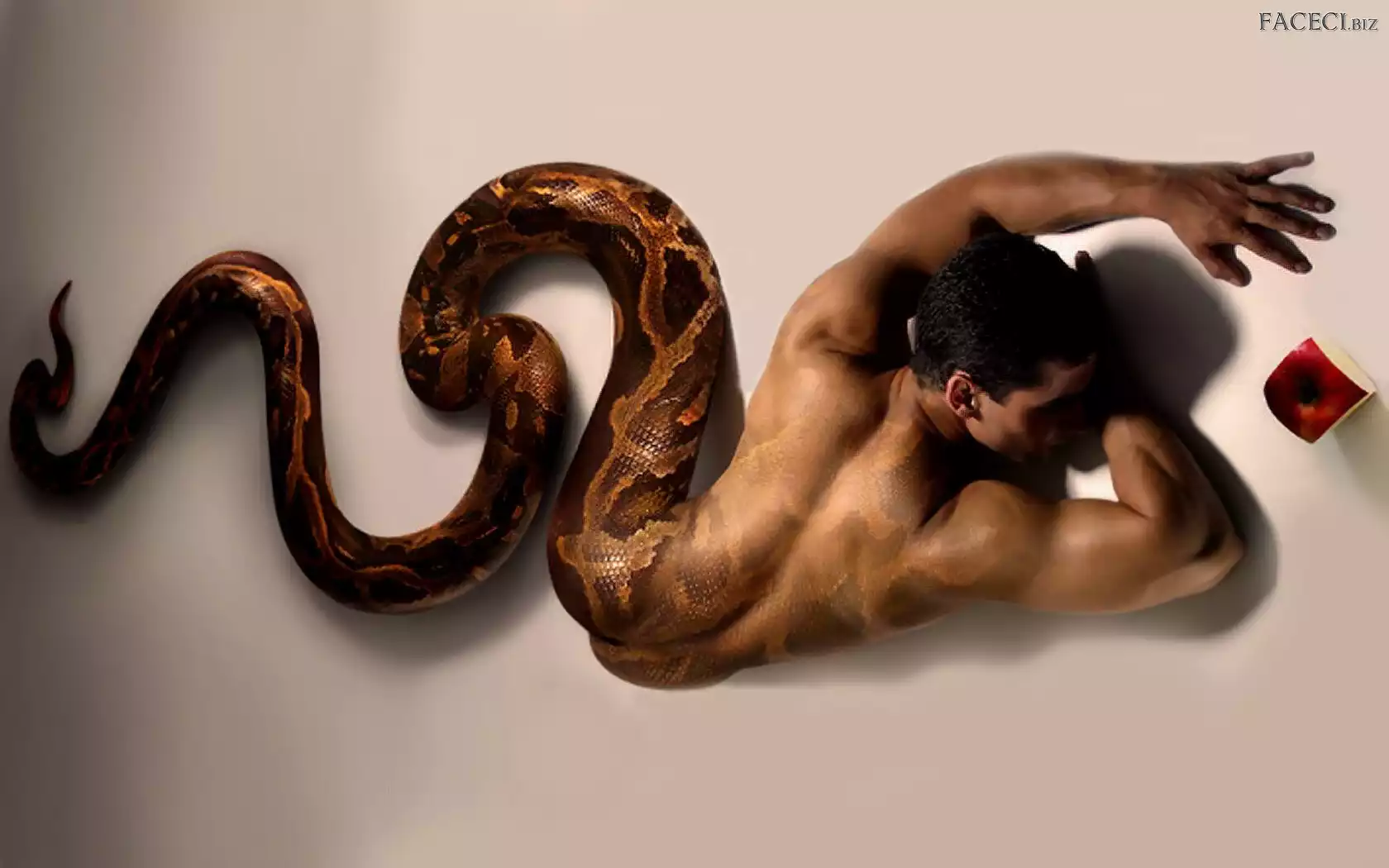 Wąż, Fantasy, Mężczyzna, Jabłko